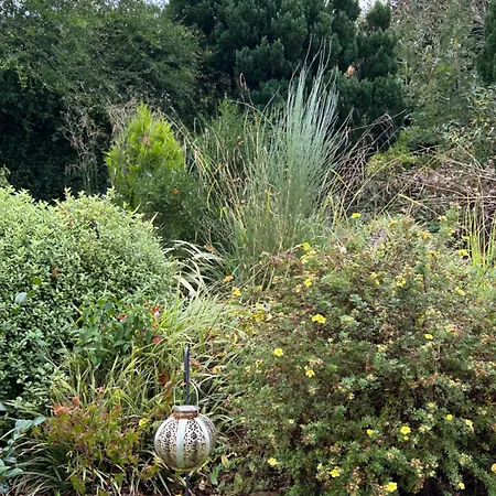 Dom wakacyjny Reads Park Self - Catering