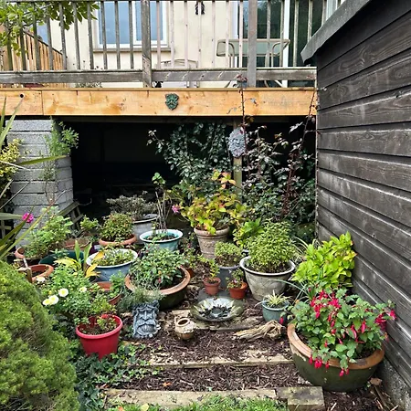 Reads Park Self - Catering Dom wakacyjny Galbally