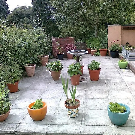 Reads Park Self - Catering Hébergement de vacances Galbally