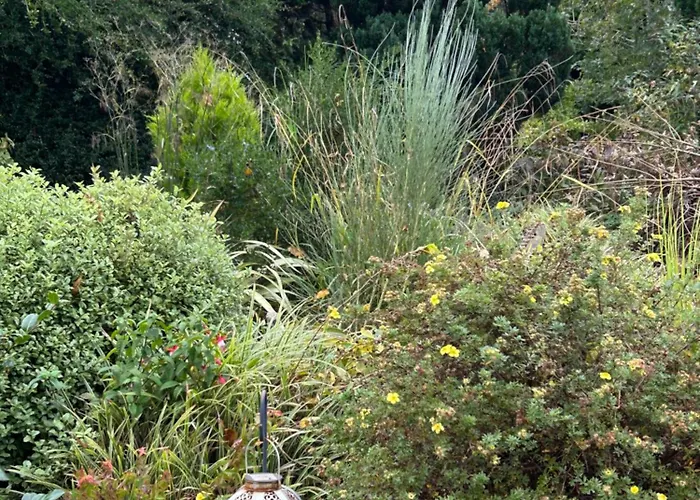 別荘 Reads Park Self - Catering