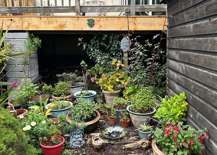 Reads Park Self - Catering Prázdninový dům Galbally